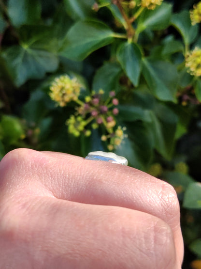 Sea Glass T-Ring Size V White Duo