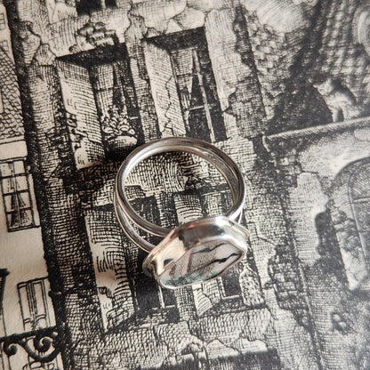 Hallowe'en Broken Plate Ring - Extrovert Bats