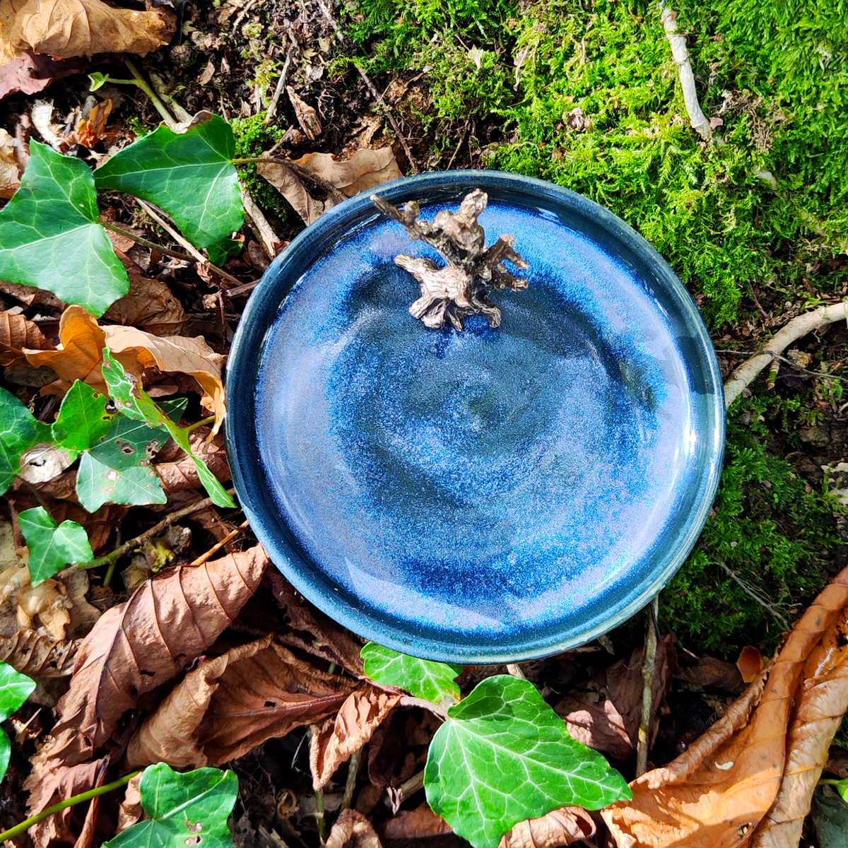 A small round blue ceramic dish or cup with a glossy glaze, placed outdoors on a forest floor among green ivy, moss, and dry brown leaves.