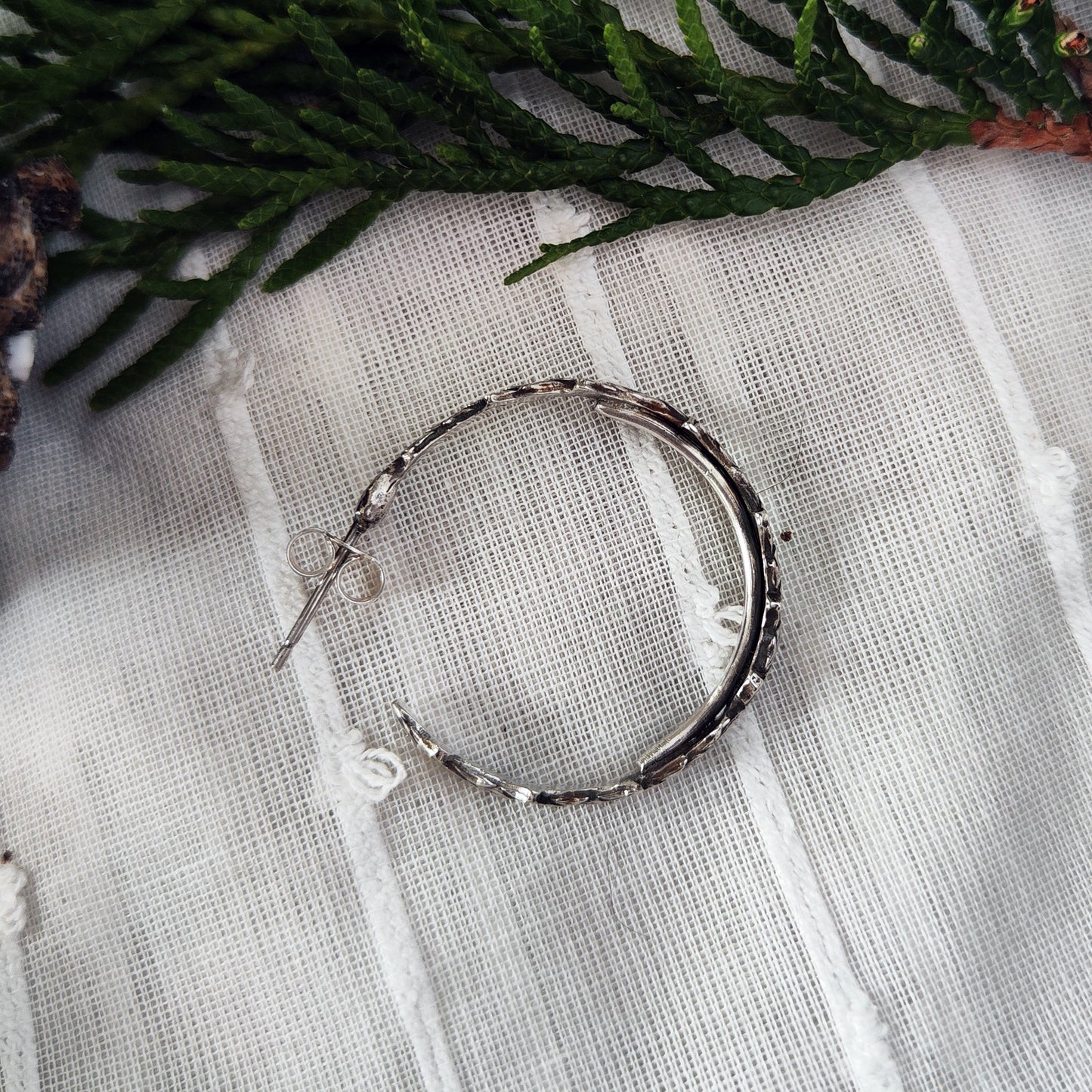 Twig Earrings - Dainty Conifer Hoops