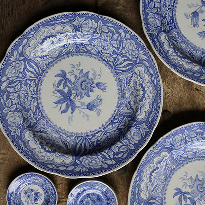 Broken Plates: Spode1D