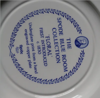 Broken Plates: Spode1D